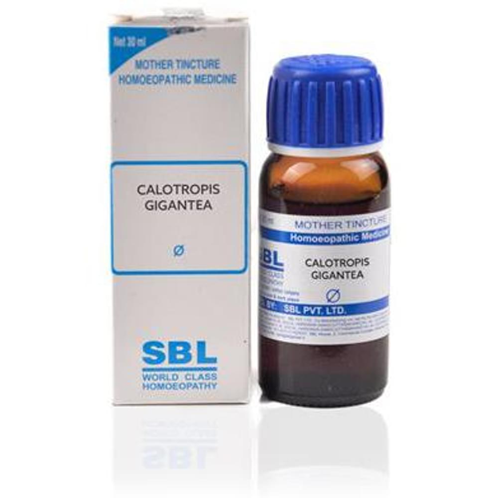 SBL Calotropis Gigantea Mother Tincture Q bottle of 30 ml Mother Tincture SBL Calotropis Gigantea Mother Tincture Q bottle of 30 ml Mother Tincture