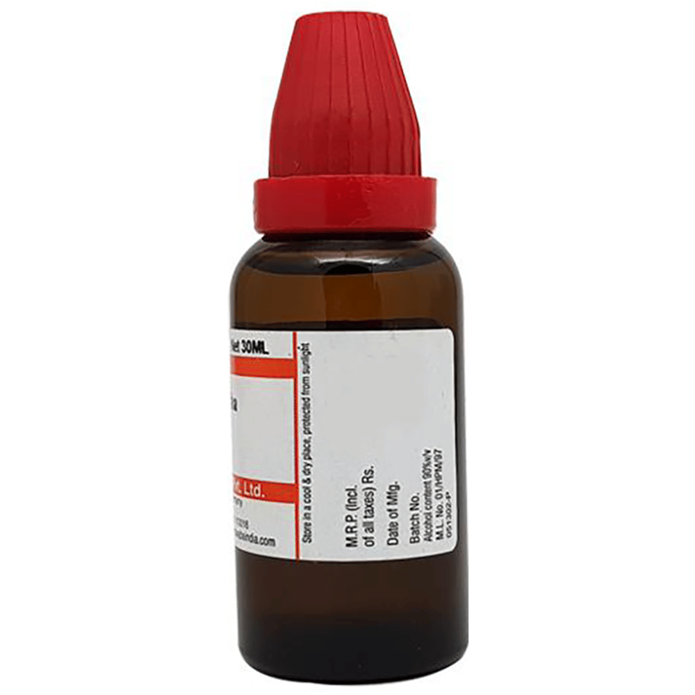 Dr Willmar Schwabe India Cydonia Vulgaris Dilution 30 CH bottle of 30 ml Dilution Dr Willmar Schwabe India Cydonia Vulgaris Dilution 30 CH bottle of 30 ml Dilution