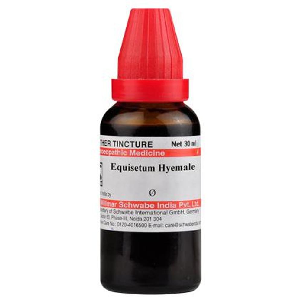 Dr Willmar Schwabe India Equisetum Hyemale Mother Tincture Q bottle of 30 ml Mother Tincture Dr Willmar Schwabe India Equisetum Hyemale Mother Tincture Q bottle of 30 ml Mother Tincture