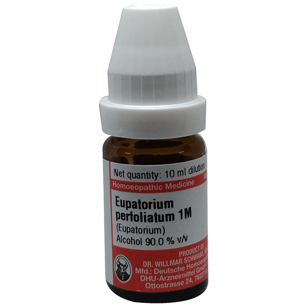 Dr Willmar Schwabe Germany Eupatorium Perfoliatum Dilution 1M bottle of 10 ml Dilution Dr Willmar Schwabe Germany Eupatorium Perfoliatum Dilution 1M bottle of 10 ml Dilution