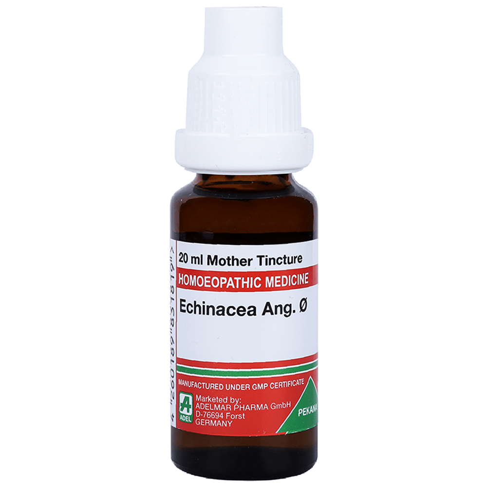 ADEL Echinacea Ang. Mother Tincture Q bottle of 20 ml Mother Tincture