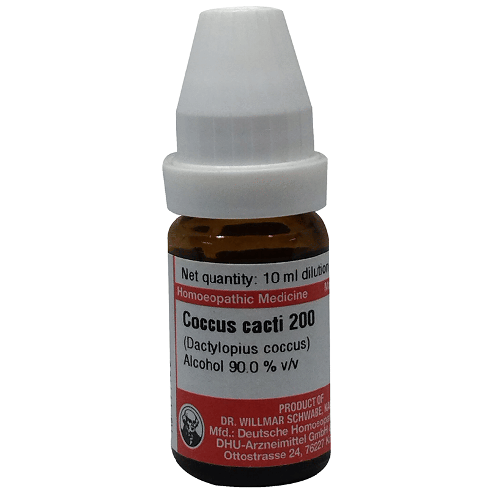 Dr Willmar Schwabe Germany Coccus Cacti  Dilution 200 bottle of 10 ml Dilution