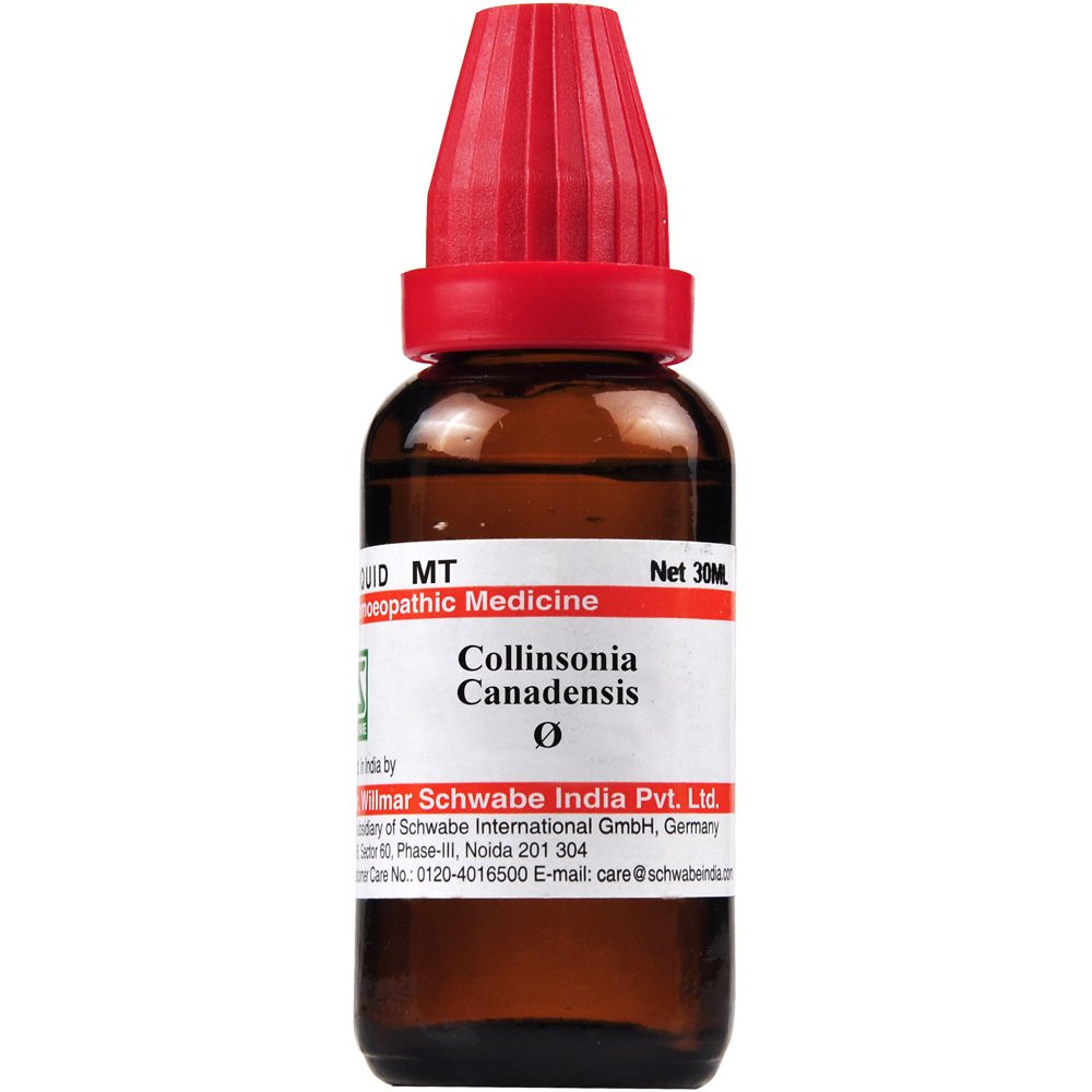Willmar Schwabe India Collinsonia Canadensis 1X (Q) (30ml)