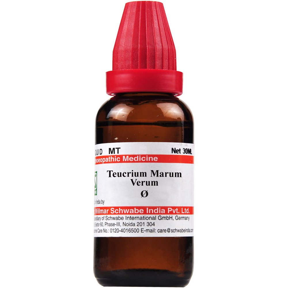 Willmar Schwabe India Teucrium marum verum 1X (Q) (30ml)